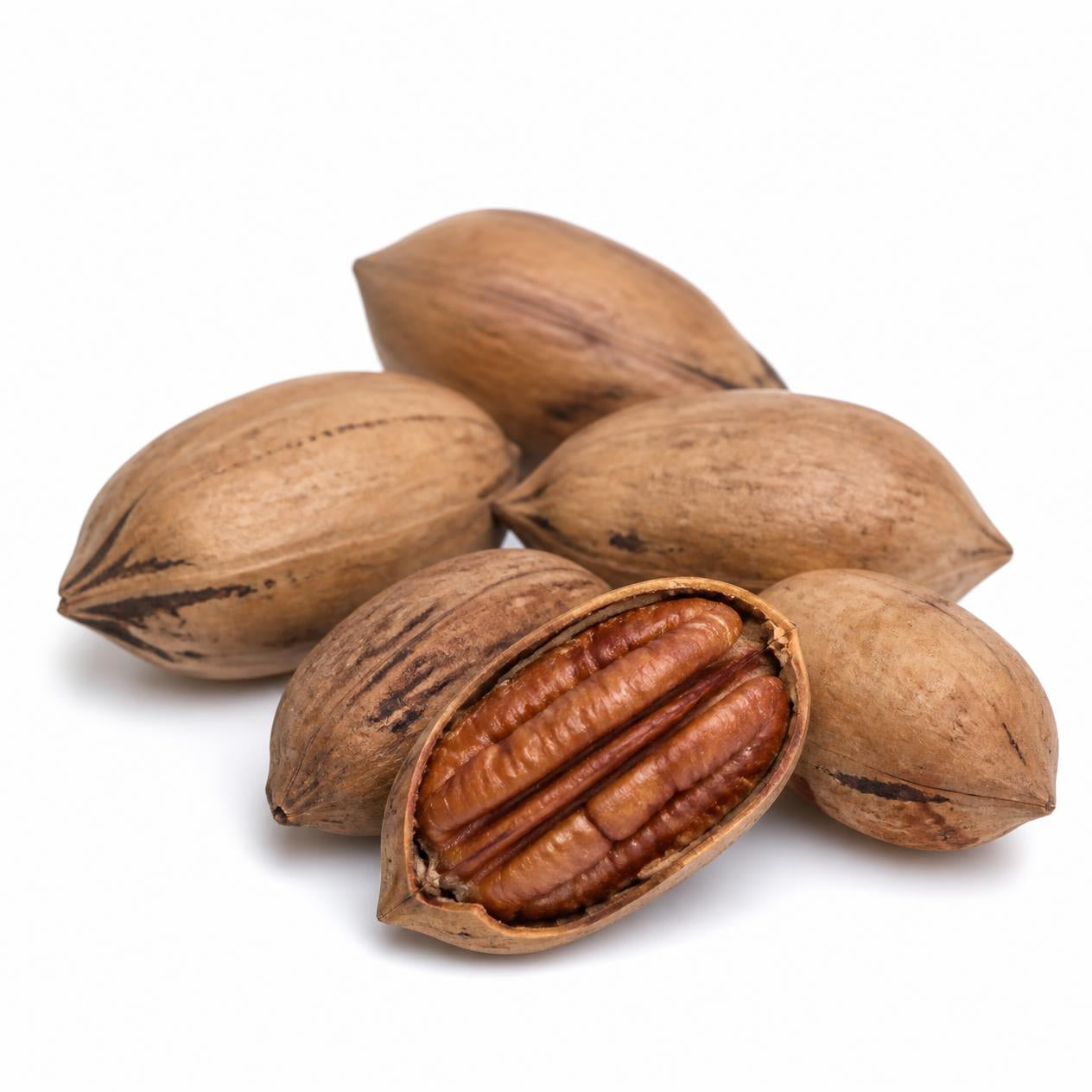 Pecan